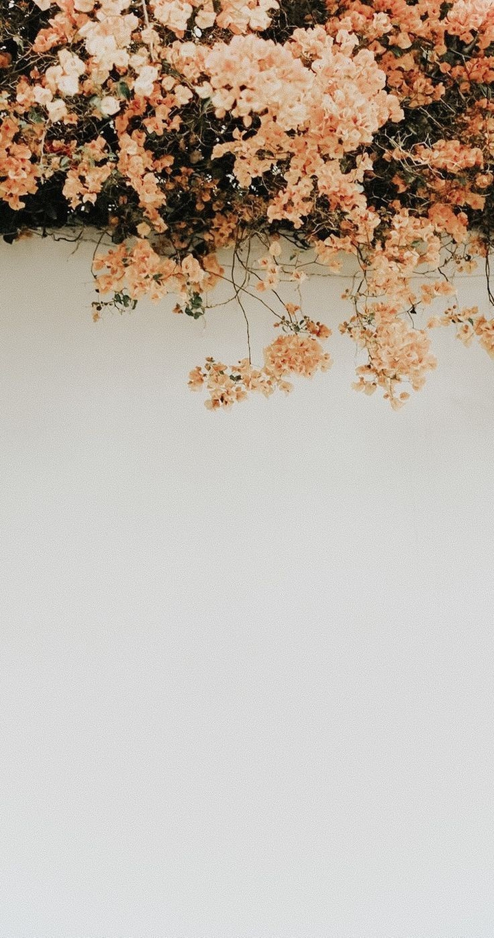 cute wall flowers