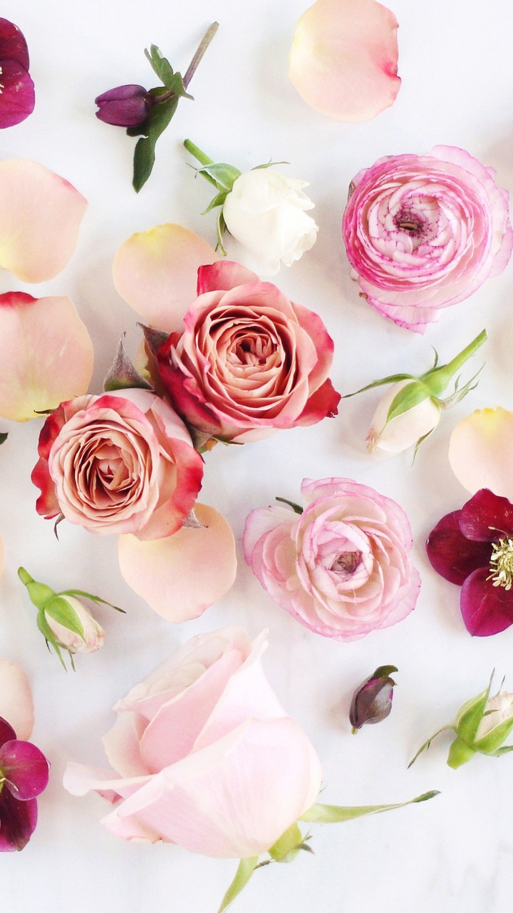 Roses