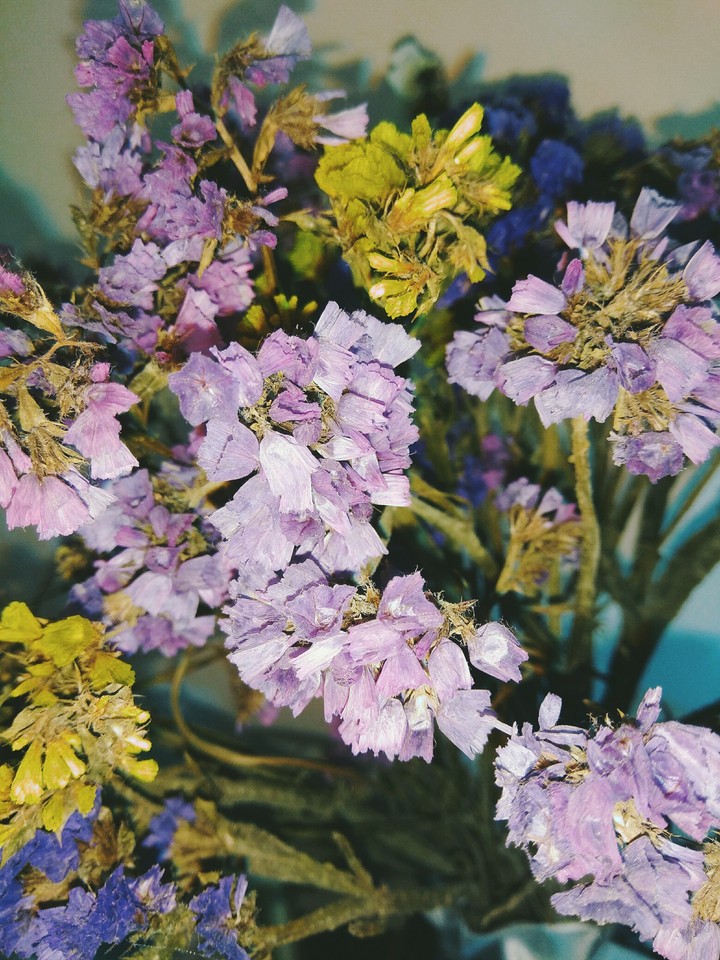 Цветы