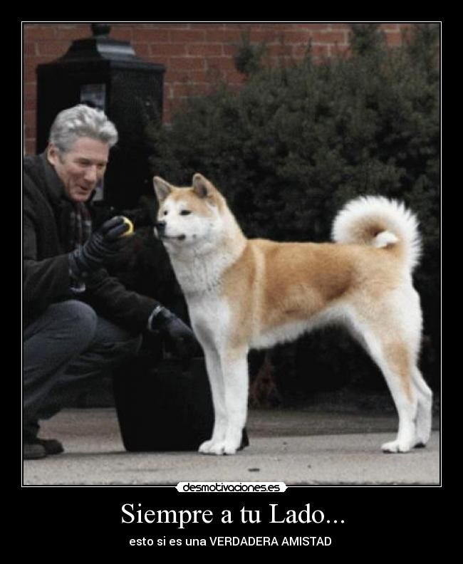 Verdadera fidelidad,amor....