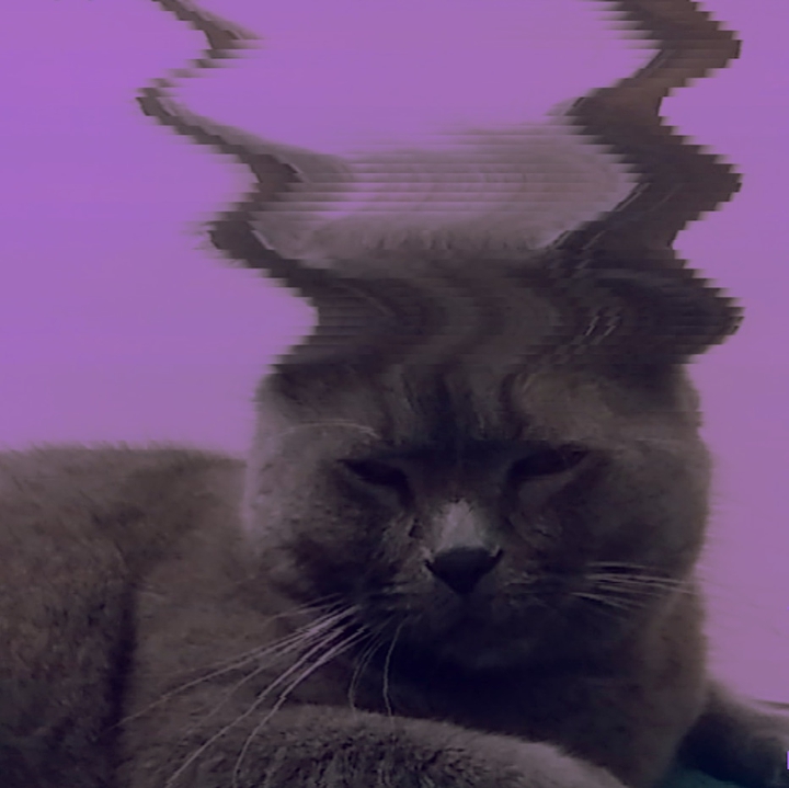 кибермяу