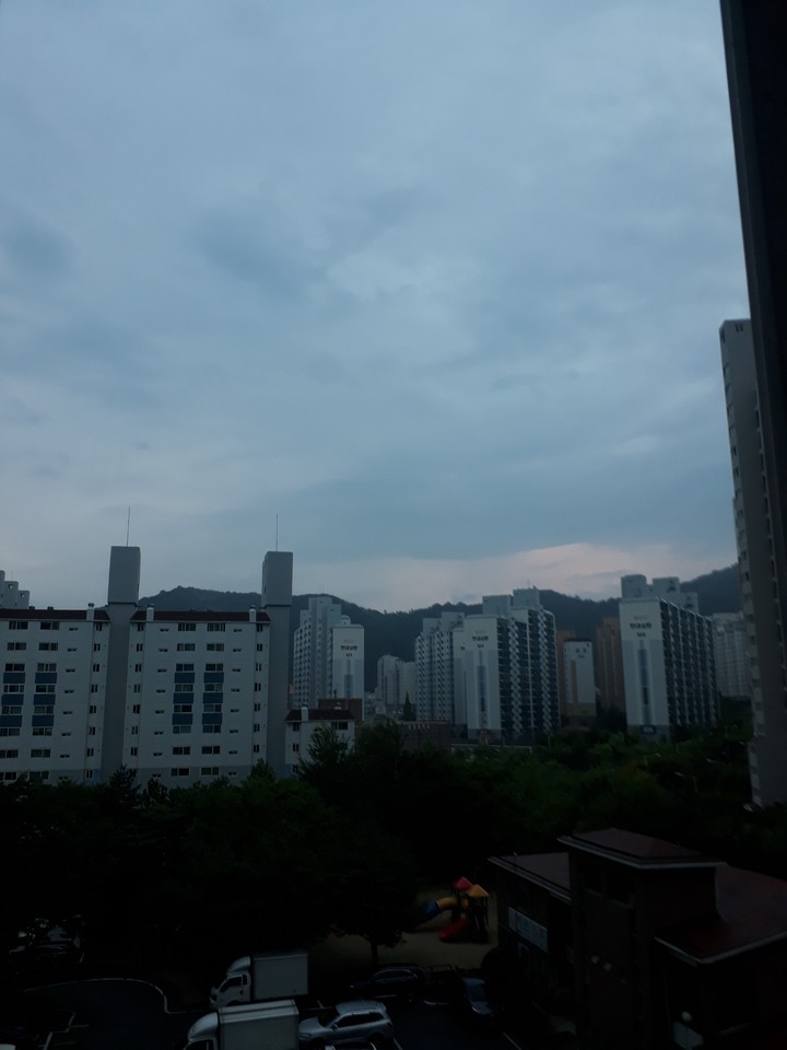 세벽