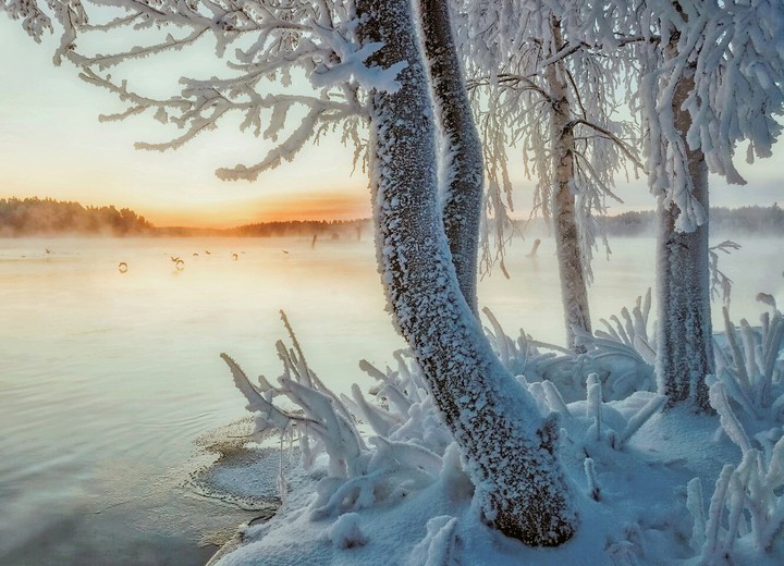❄ Sam ❄
