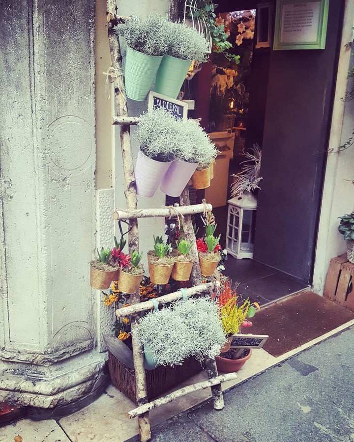 flower shop Italy