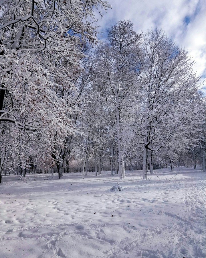 It's winter, baby