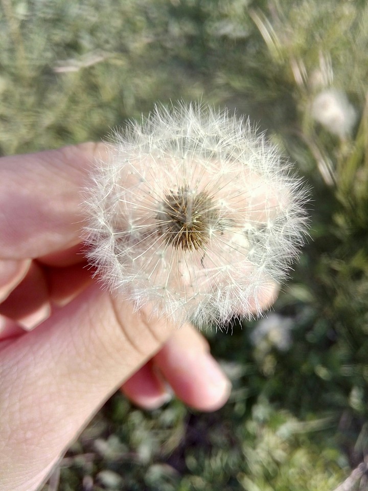 ☀