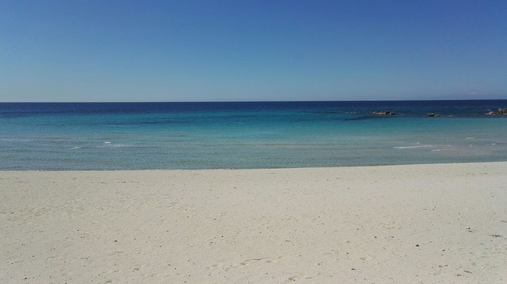 mare