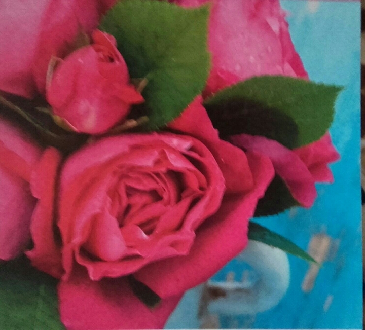 roses