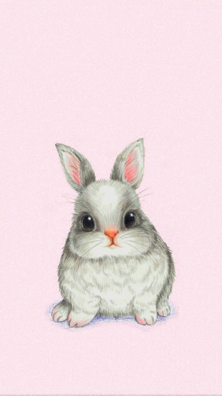 bunny