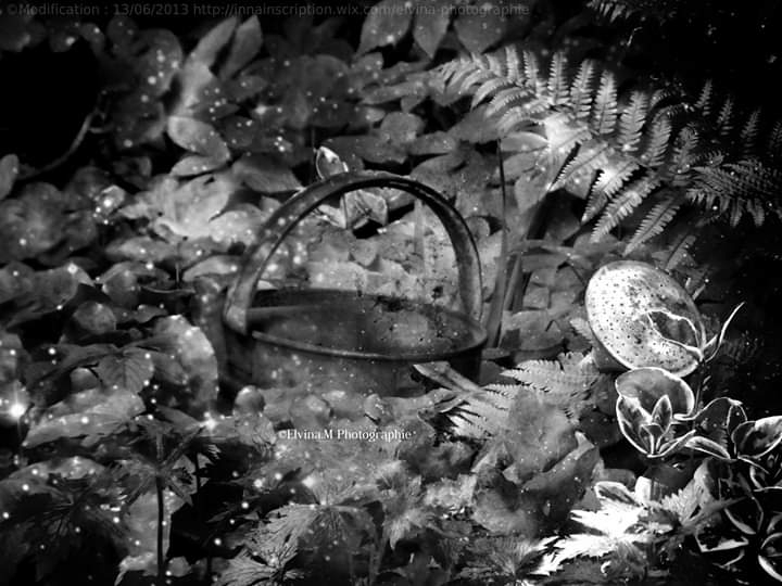 dans mon jardin