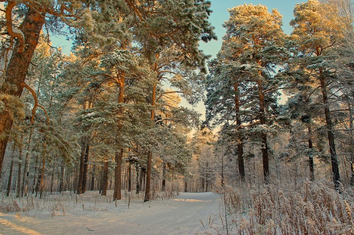 nature