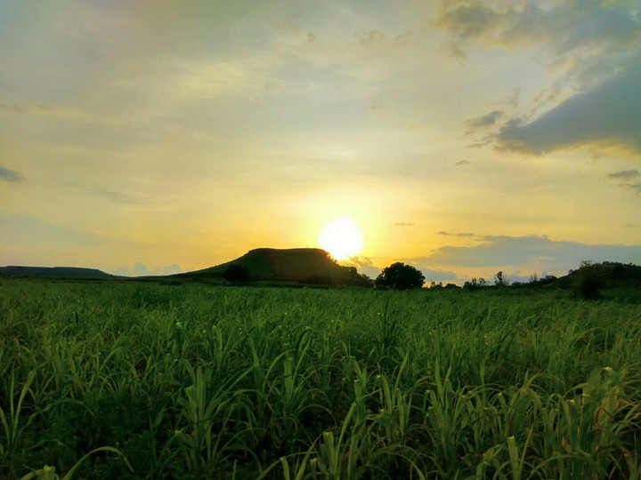 Beauty of Sunset