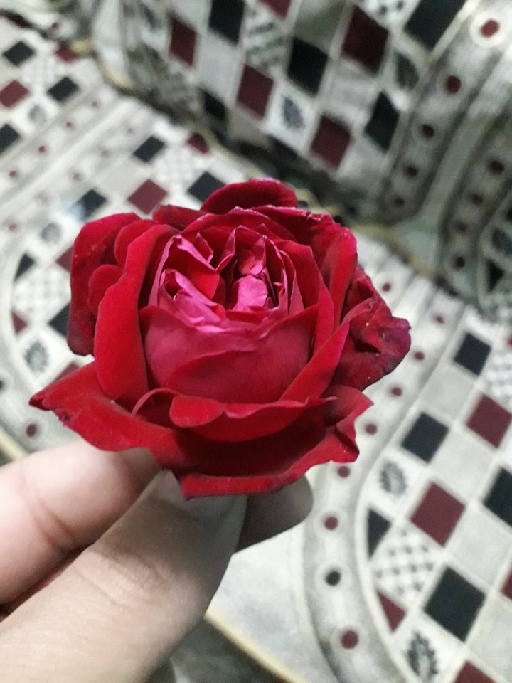 #love