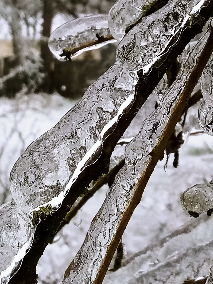 ice