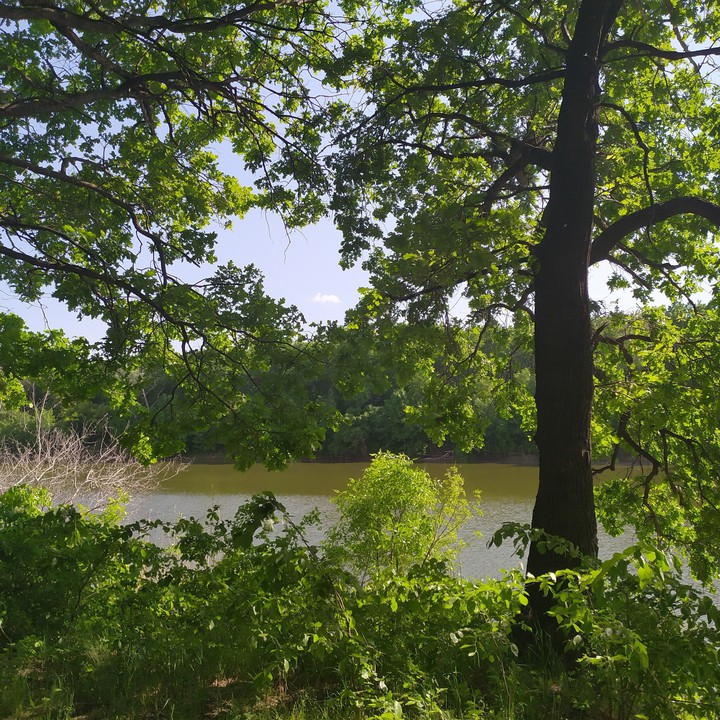 Пруд . Lake