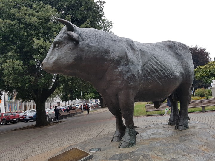 torito