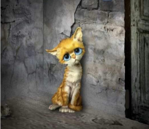 triste gatito
