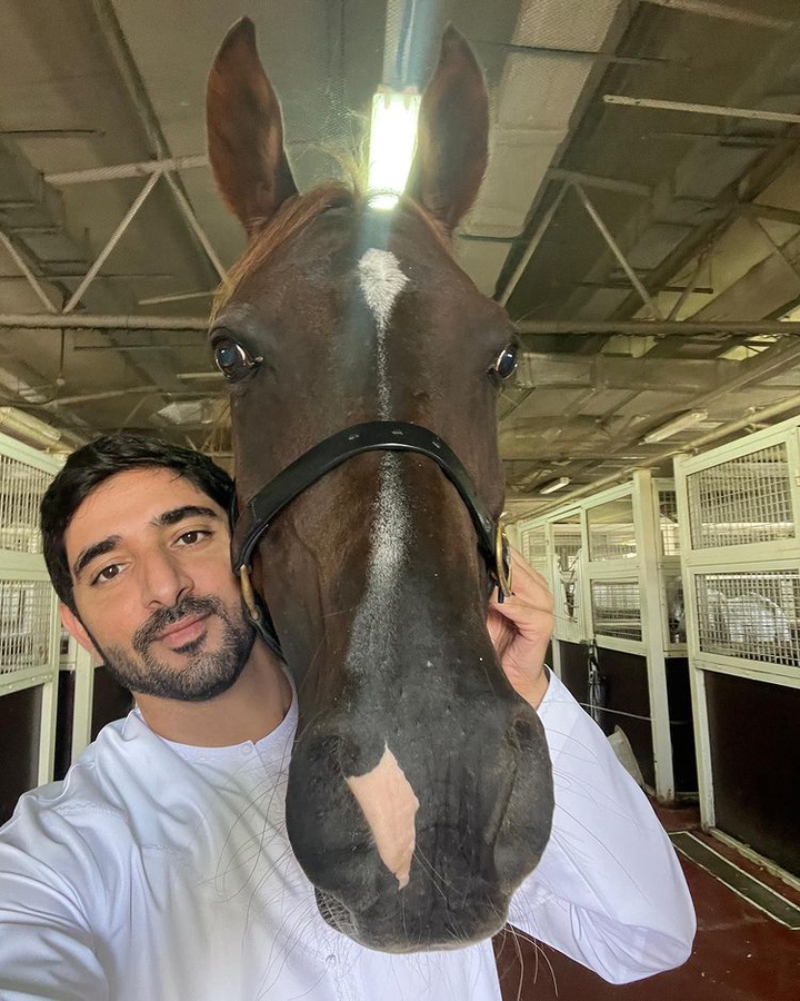 my Lovely horse ??? ?❣️