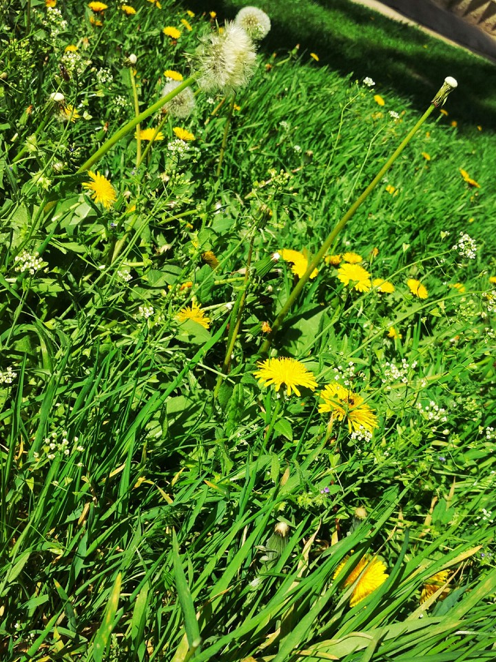 I've understood that summer is already here