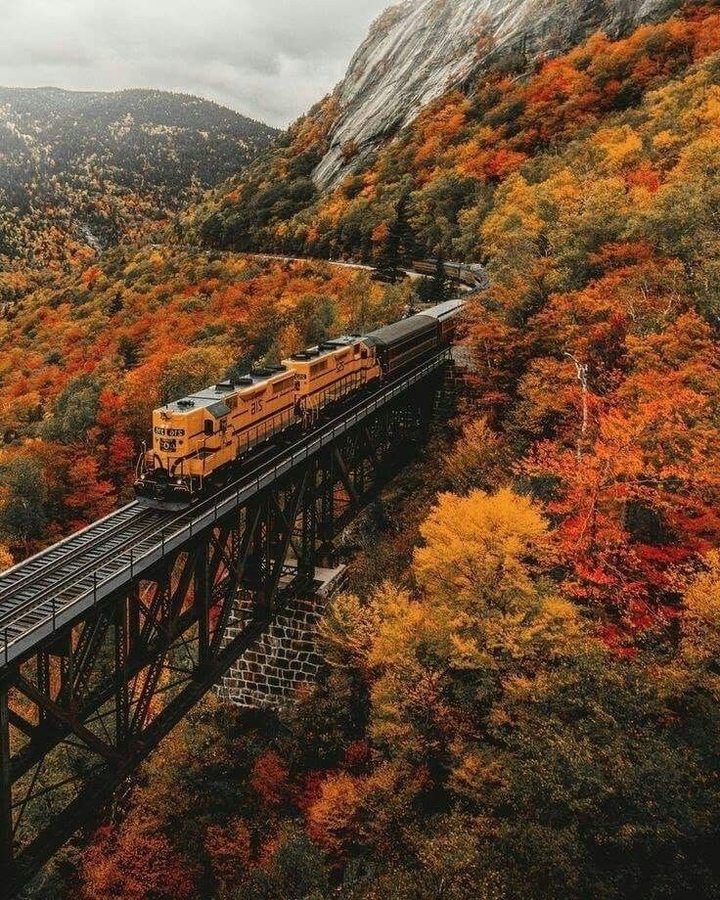 autumn