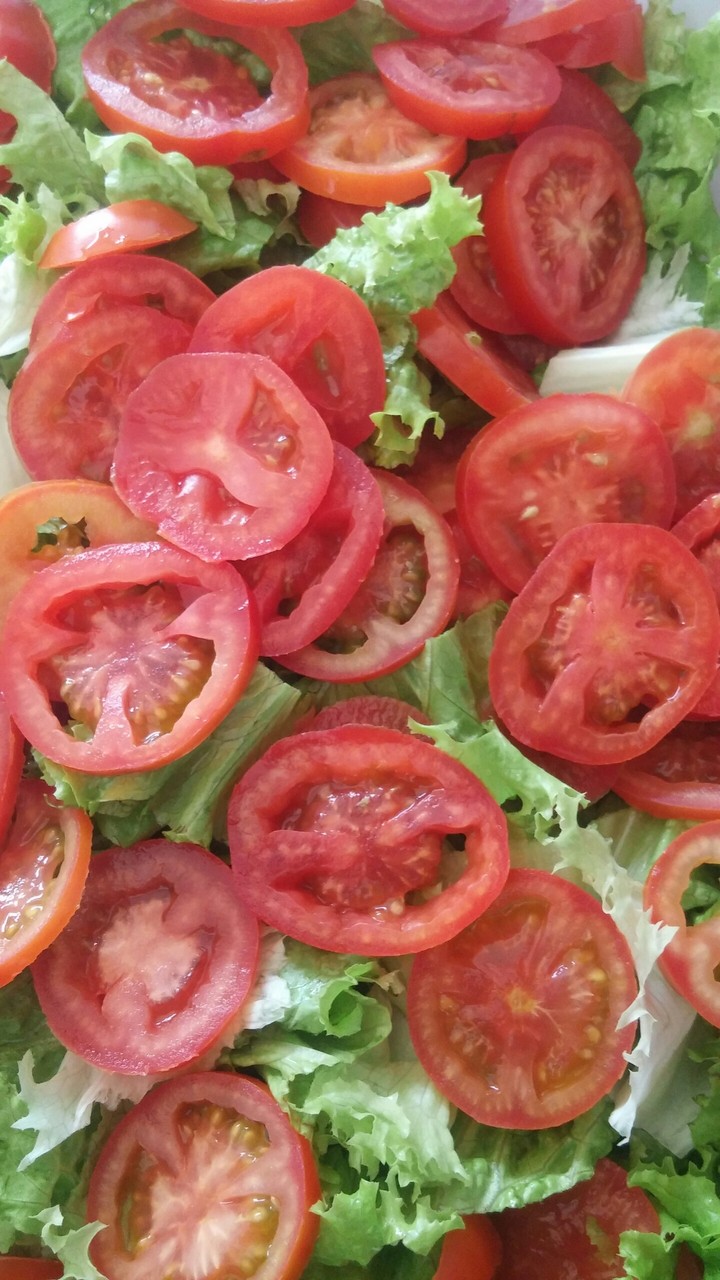 tomate e alface