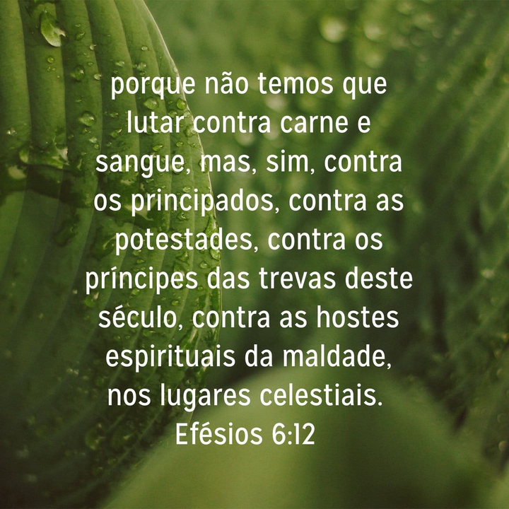 Bíblia