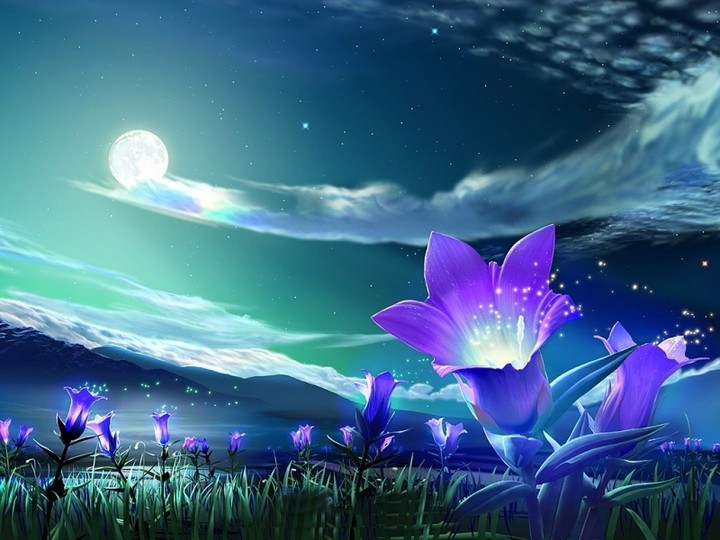 flowers and moon