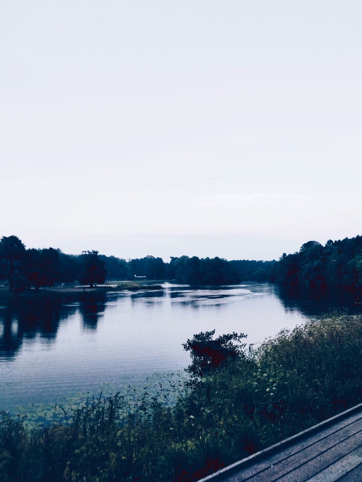 Кузьминский парк.