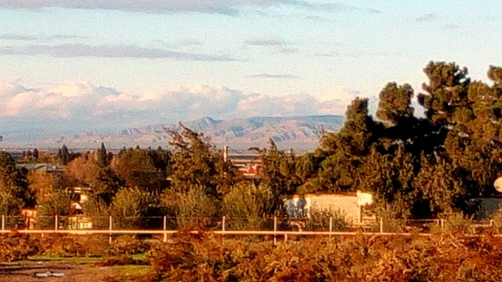 Shirvan mounts
