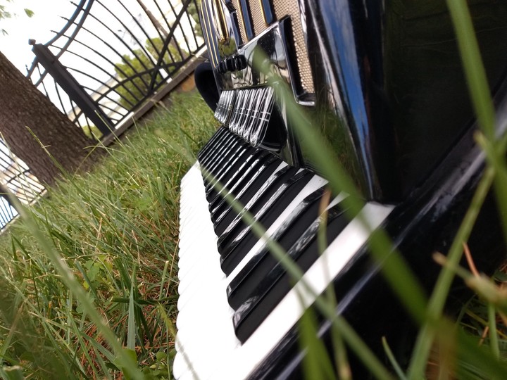 Hohner Accordion