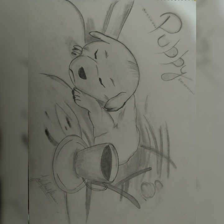 sketch
