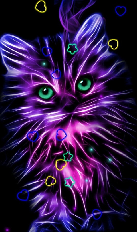 very happy cat