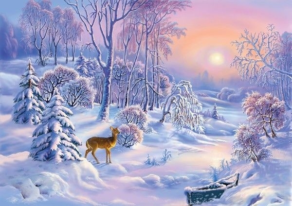 Winter Frost