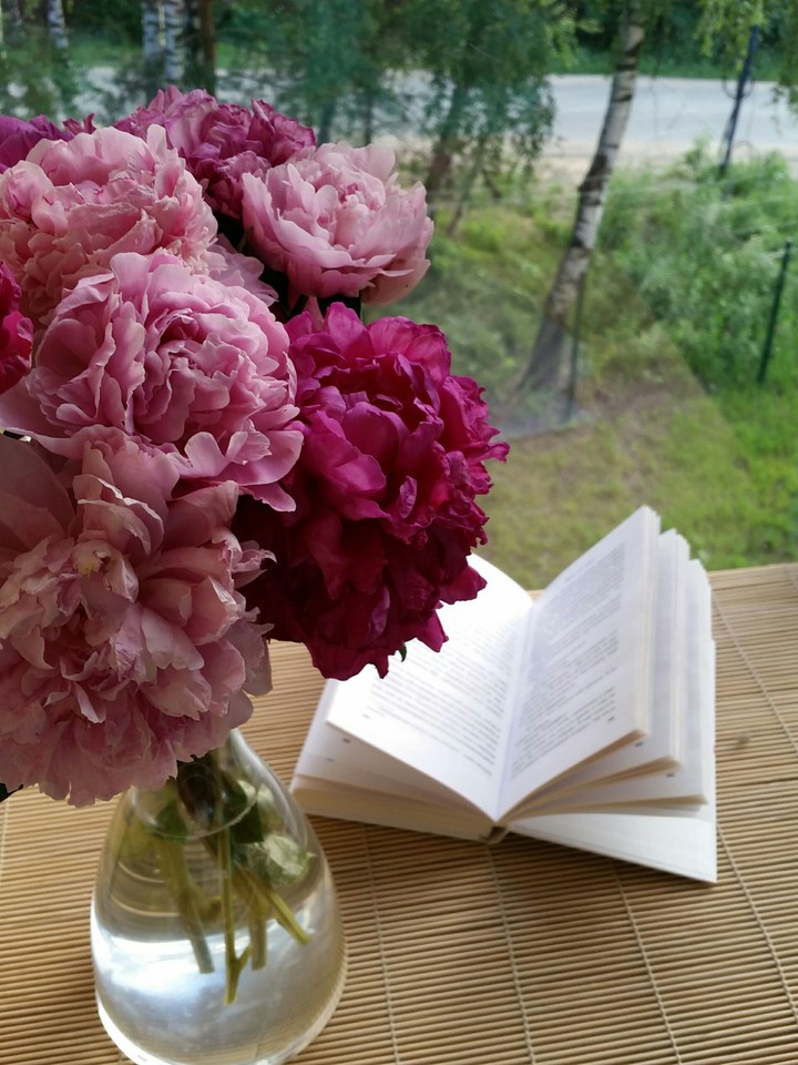 Enjoy evening