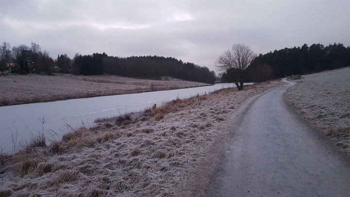 Winter magic