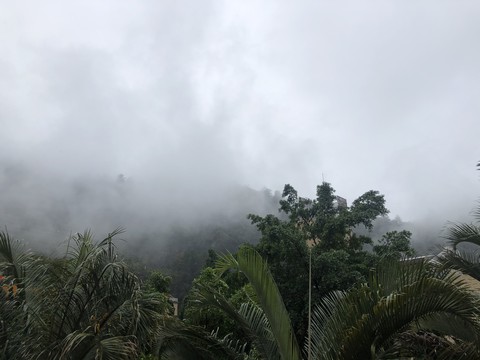Fog