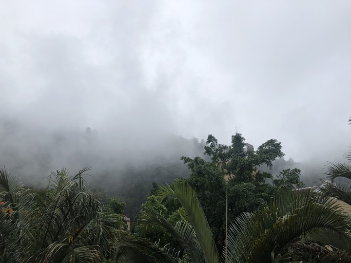 Fog