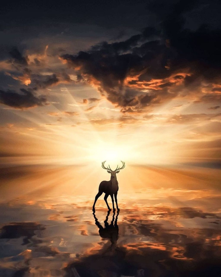 wallpapers_sah.spid