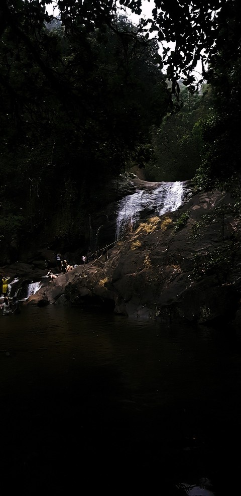 Natures beauty