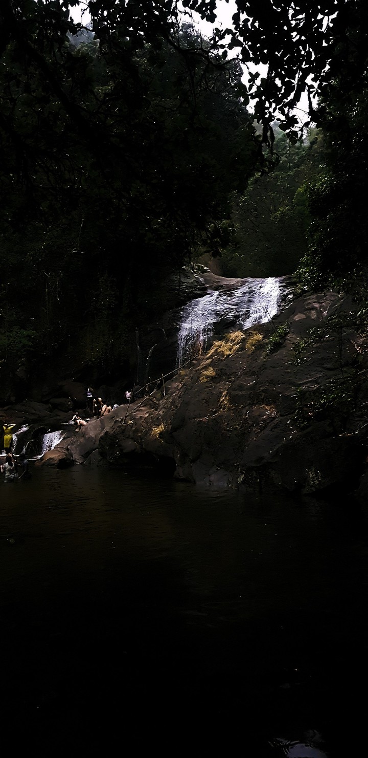 Natures beauty