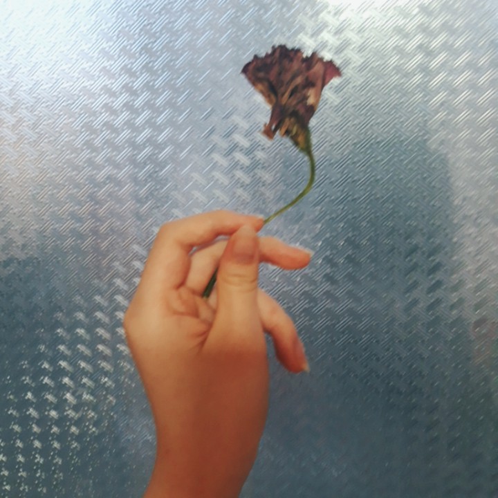 드라이플라워