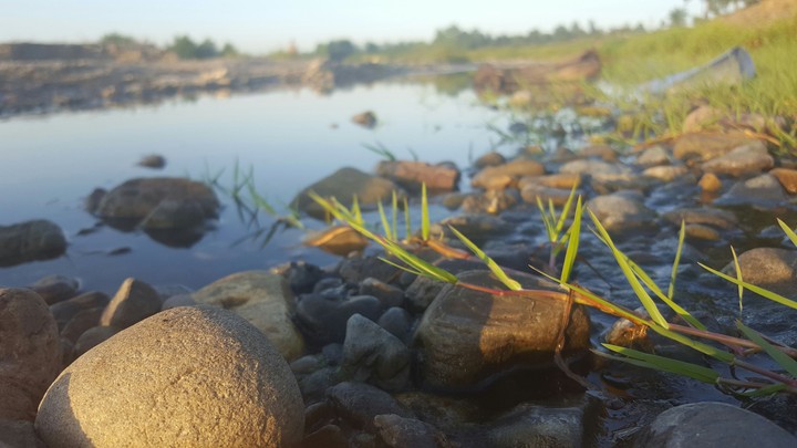 nature