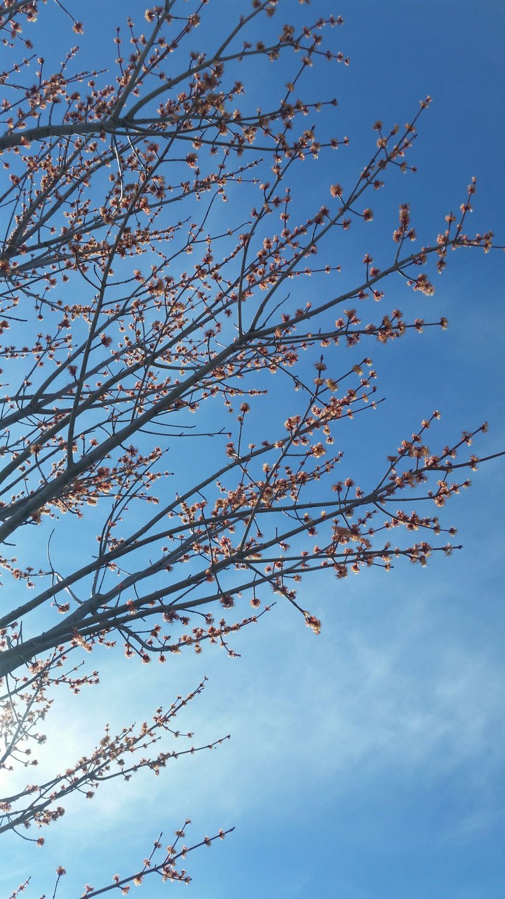 spring time