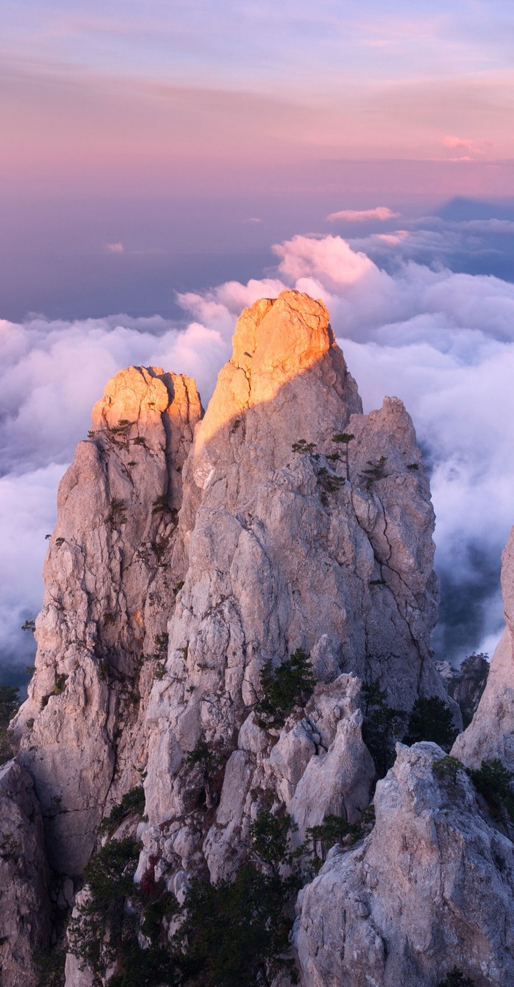 красота
