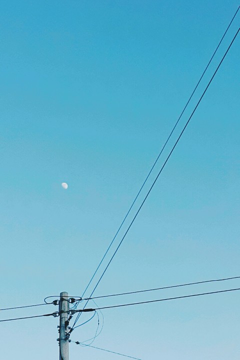 sunny Moon