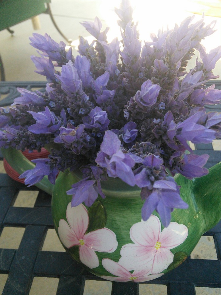 lavendar