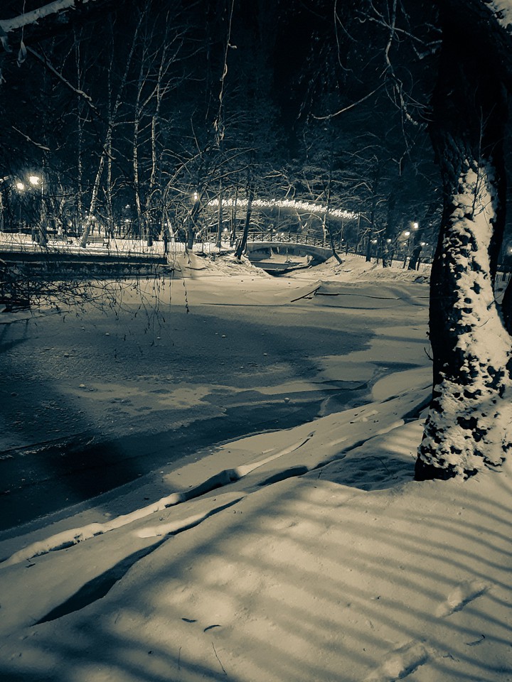bridge in park