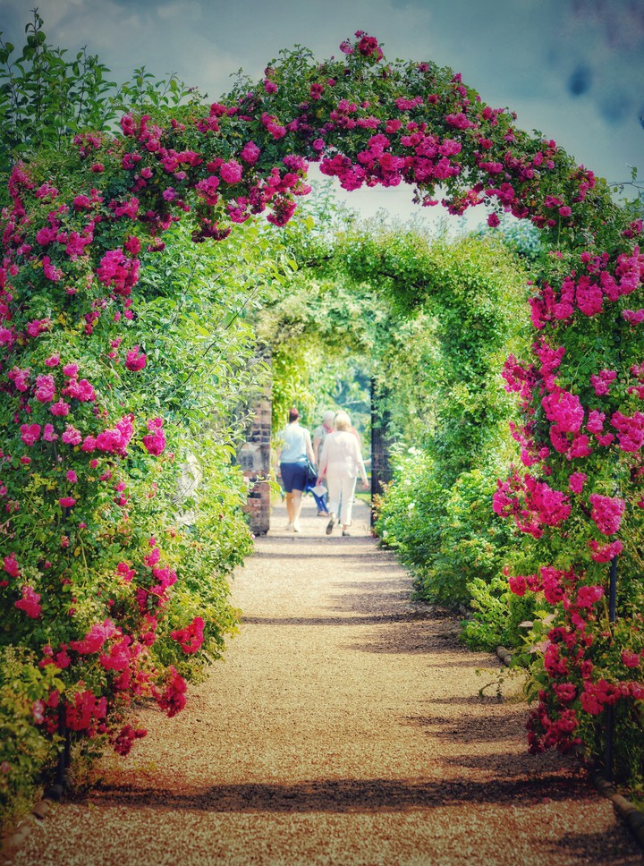 Floral Archway