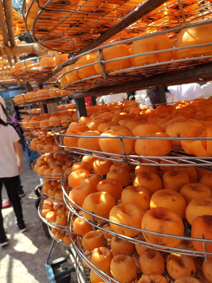 persimmon