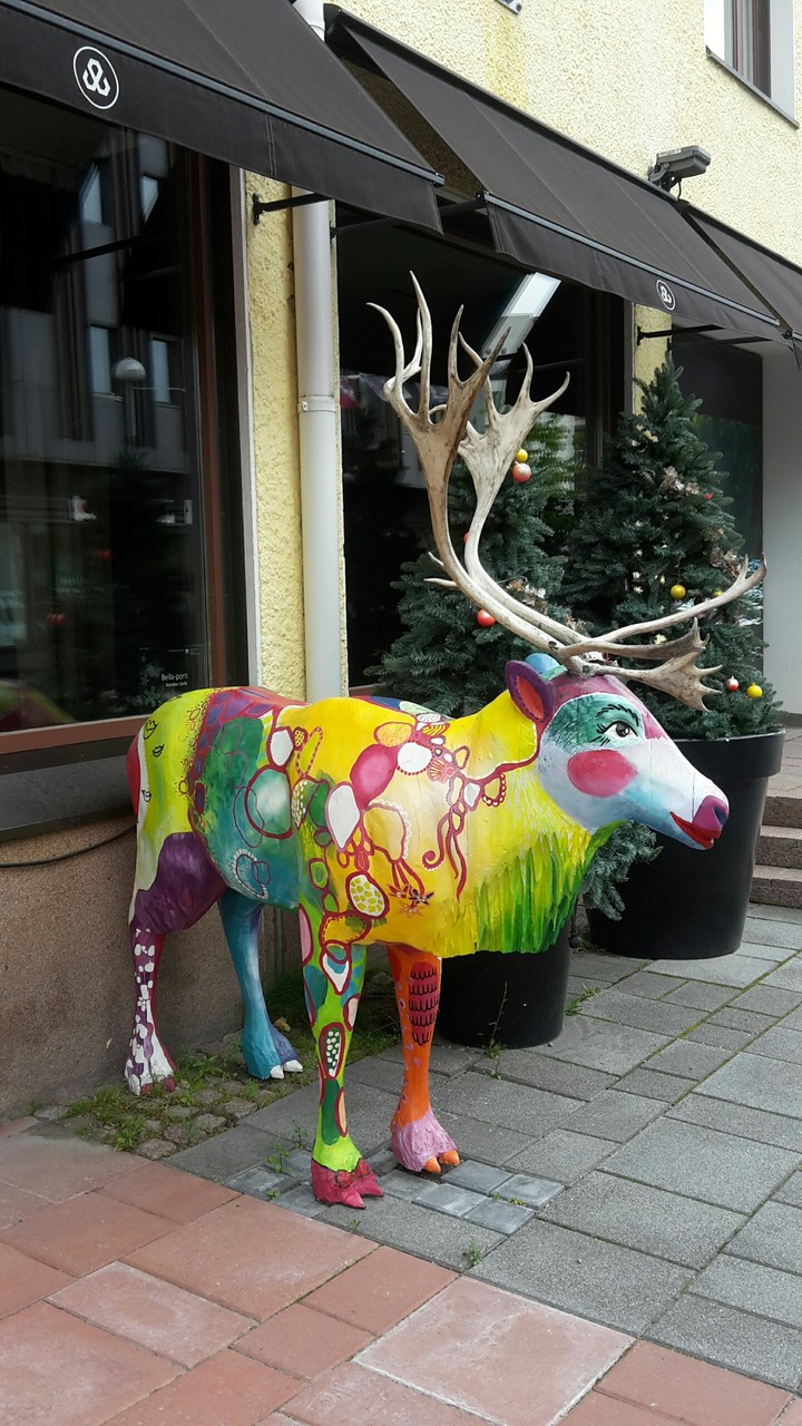 A Reindeer in Rovaniemi